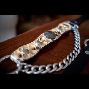 Snake skin and buffalo nickel boot chains
